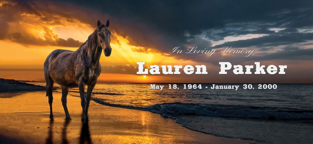 Sunset Horse Tribute