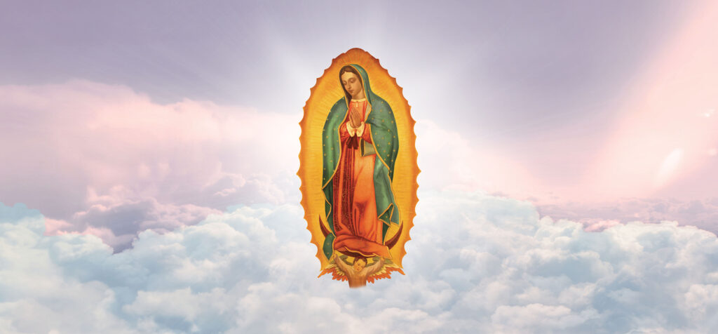 Lady of Guadalupe - Pink
