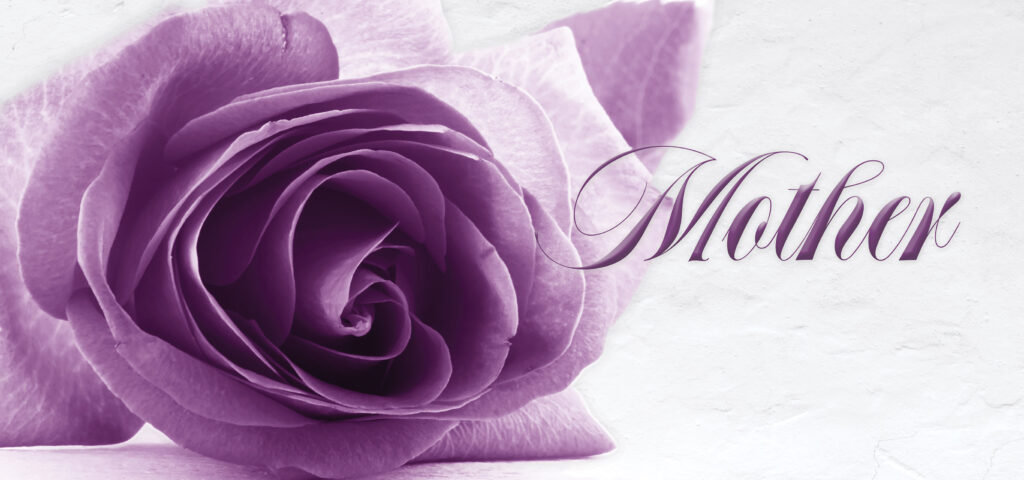 Mother Purple Rose